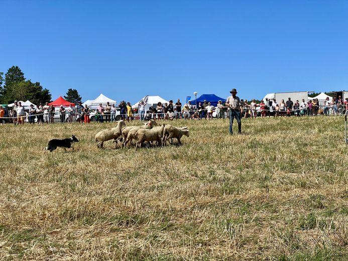 2024 08 25 fete des ja mende 1